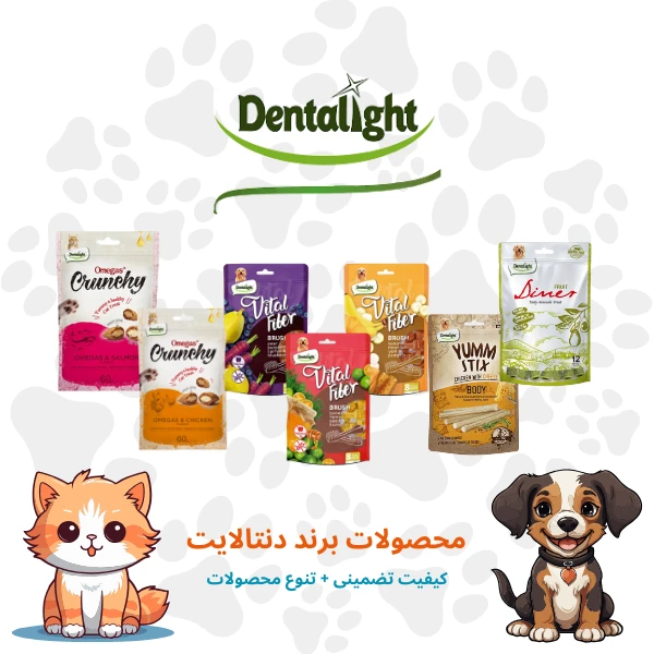 دنتالایت