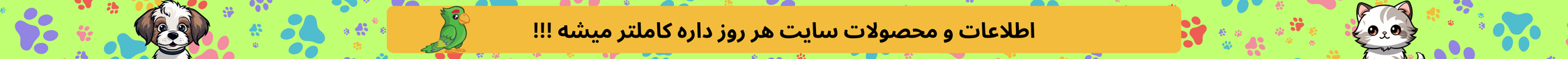 top-bar-banner