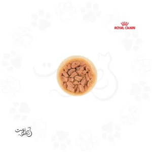پوچ سگ مینی پاپی رویال کنین ۸۵ گرم Mini Puppy