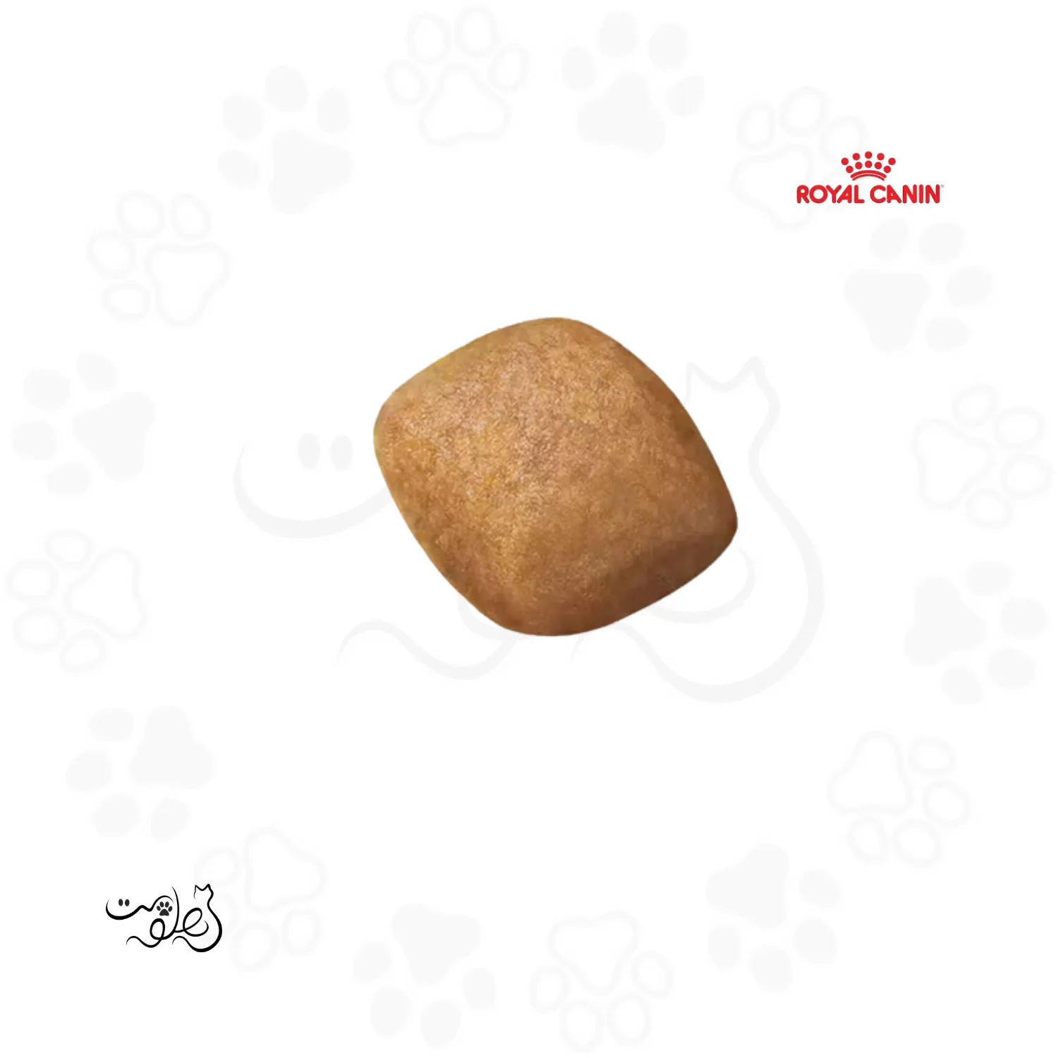 غذای خشک سگ بالغ پامرینین رویال کنین ۳ کیلوگرم Pomeranian