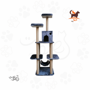 اسکرچر گربه هیوا پت مدل A75